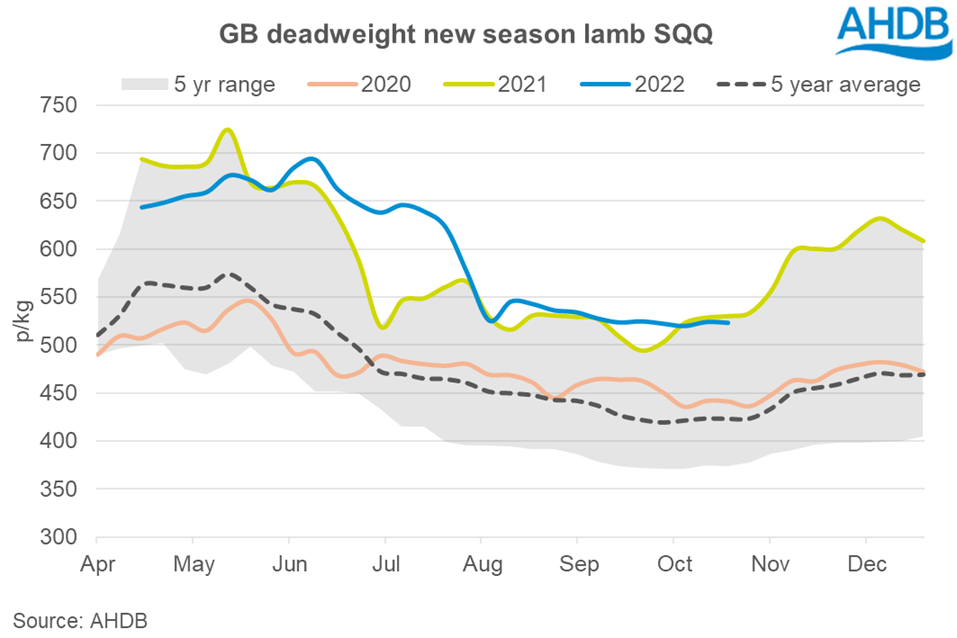 line graph showing GB deadweight new season lamb prices